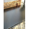 21*1250*2500mm Plywood Poplar Core Black Film